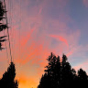 Meet your Posher, Lina